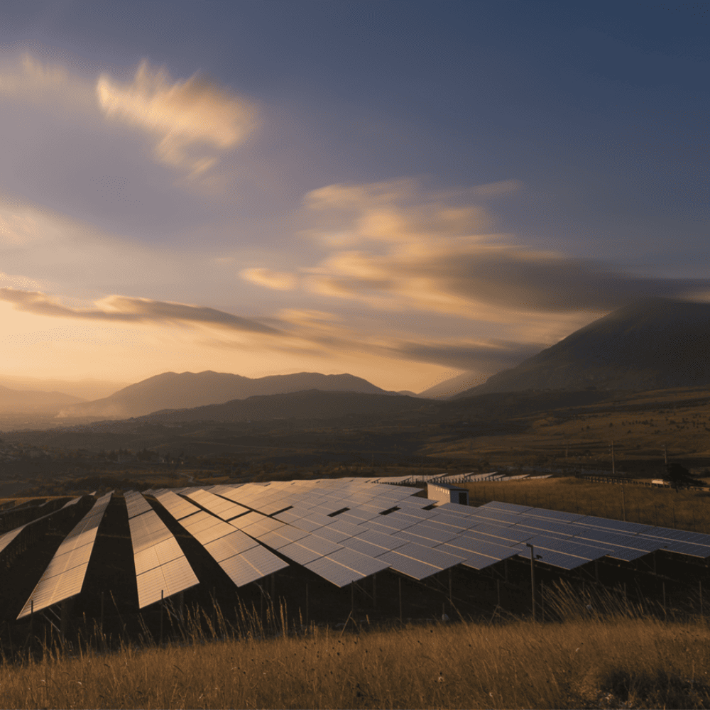 Going green 1000×1000 Considerations for Going Green